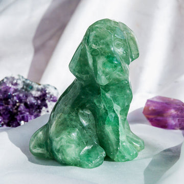 Crystal Dog¡¾LIMITED SALES¡¿
